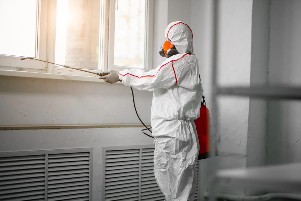 Professional mold remediation services in North Evans, NY
